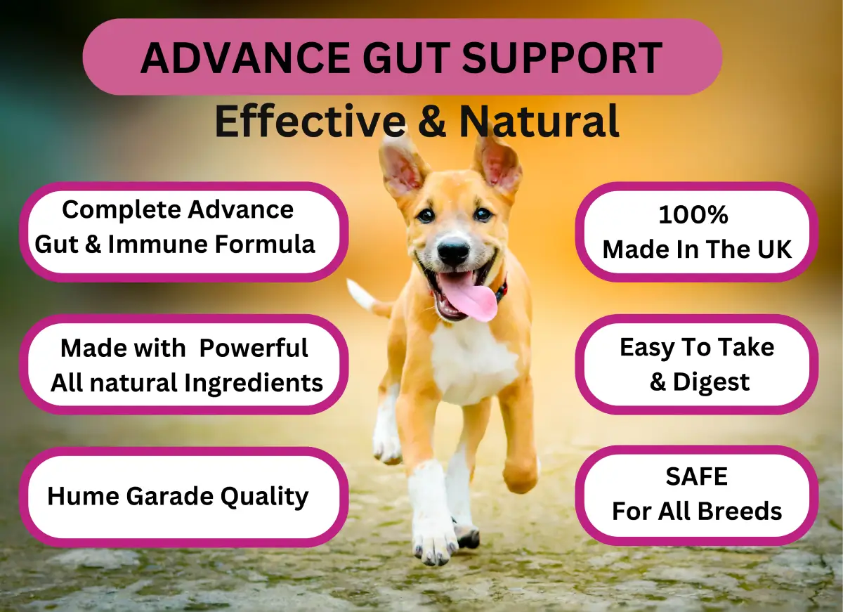 Advanced Multivitamin image 14