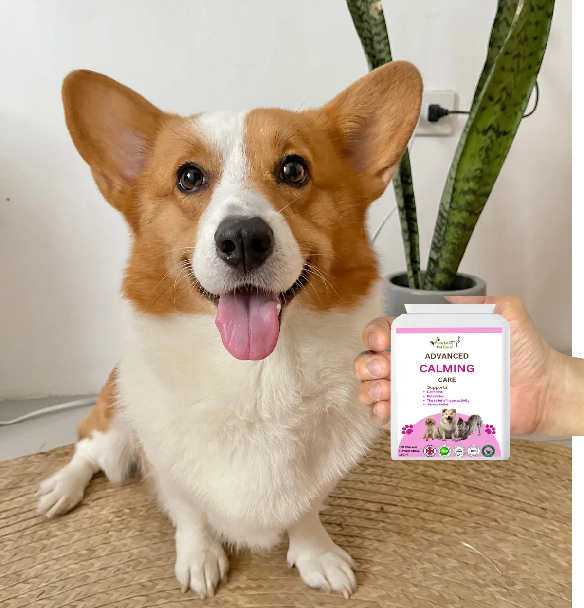 Advanced Calming image 11