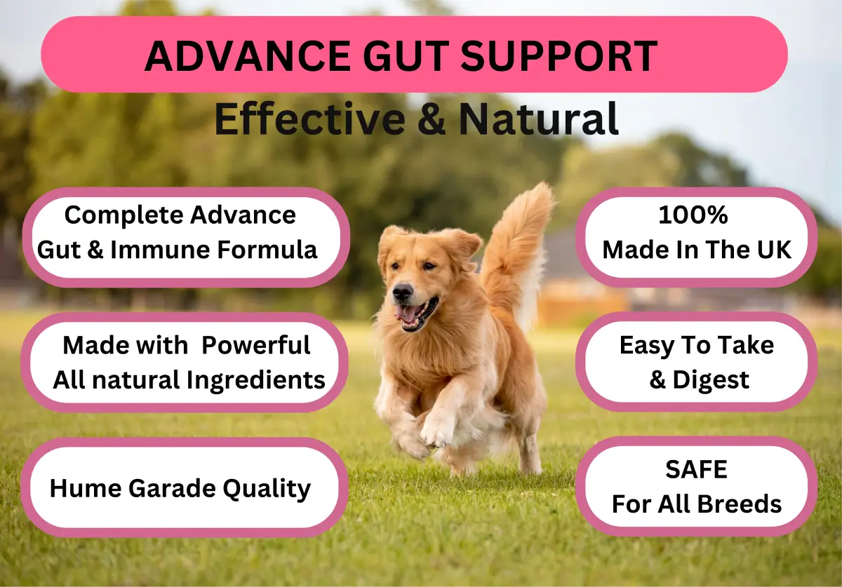 Advanced Pre + Probiotic image 4