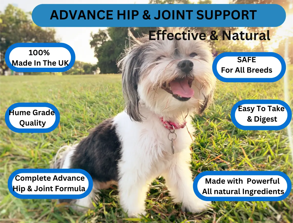 Advanced Hip & Joint 120 Tablets image 12