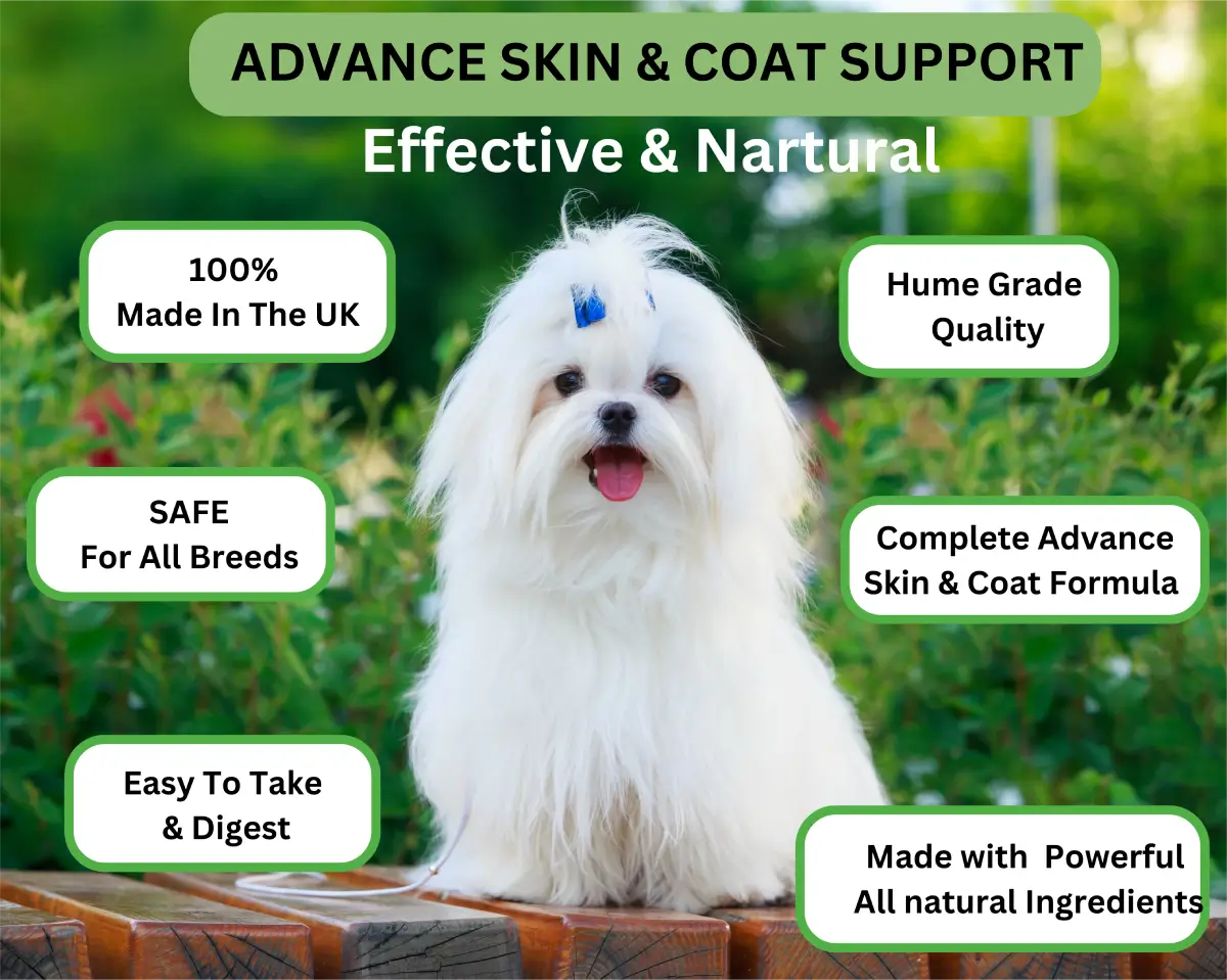 Advanced Skin & Coat With Omega Oils image 10