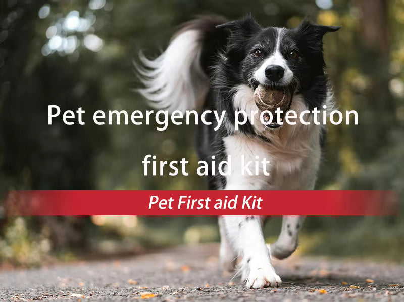 Comprehensive Pet First Aid Kit – Be Prepared for Any Emergency