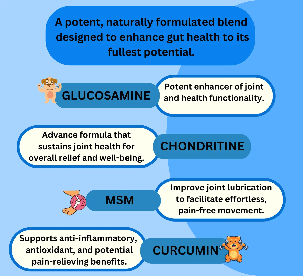 Advanced Hip & Joint 300 Tablets image 2