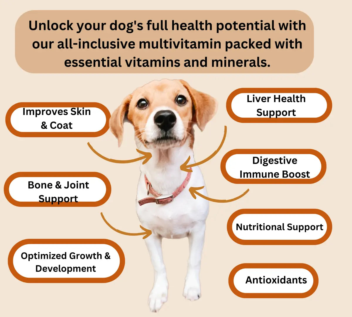 Advanced Multivitamin image 7