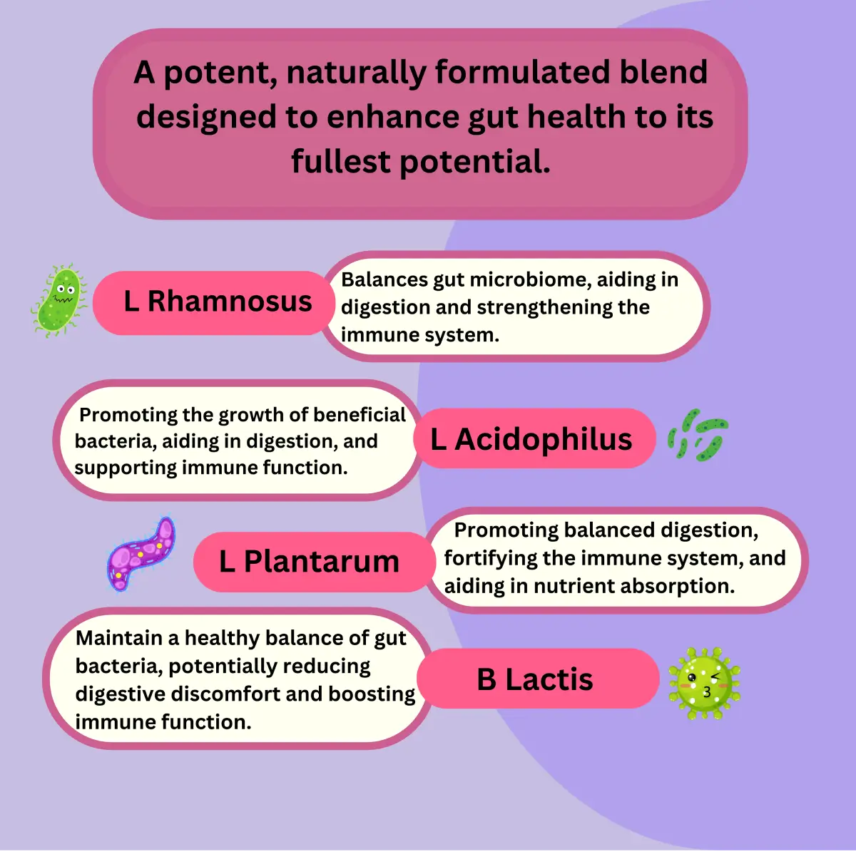 Advanced Pre + Probiotic image 3
