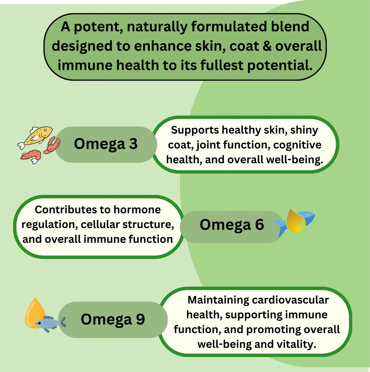 Advanced Skin & Coat With Omega Oils image 2