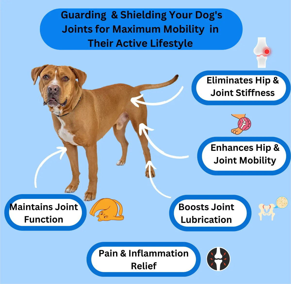 Advanced Hip & Joint 300 Tablets image 9