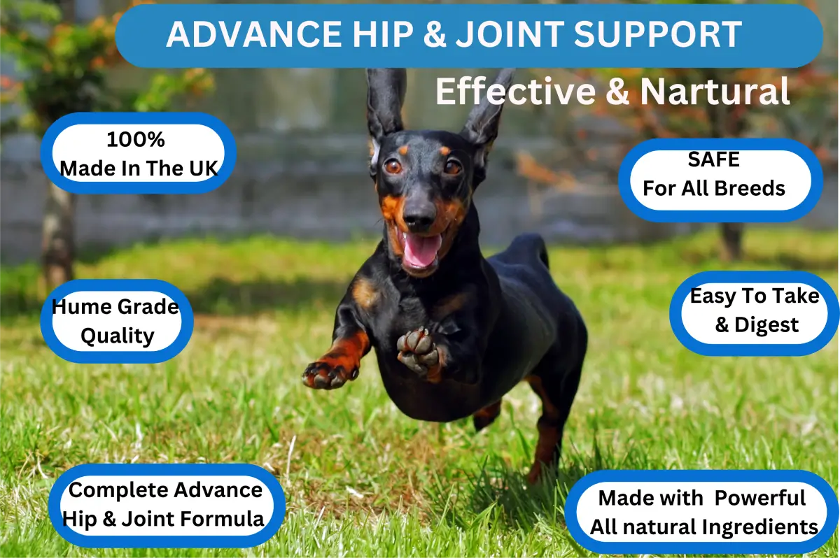 Advanced Hip & Joint Powder image 12