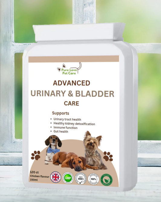 Advanced  Urinary & Bladder image 0