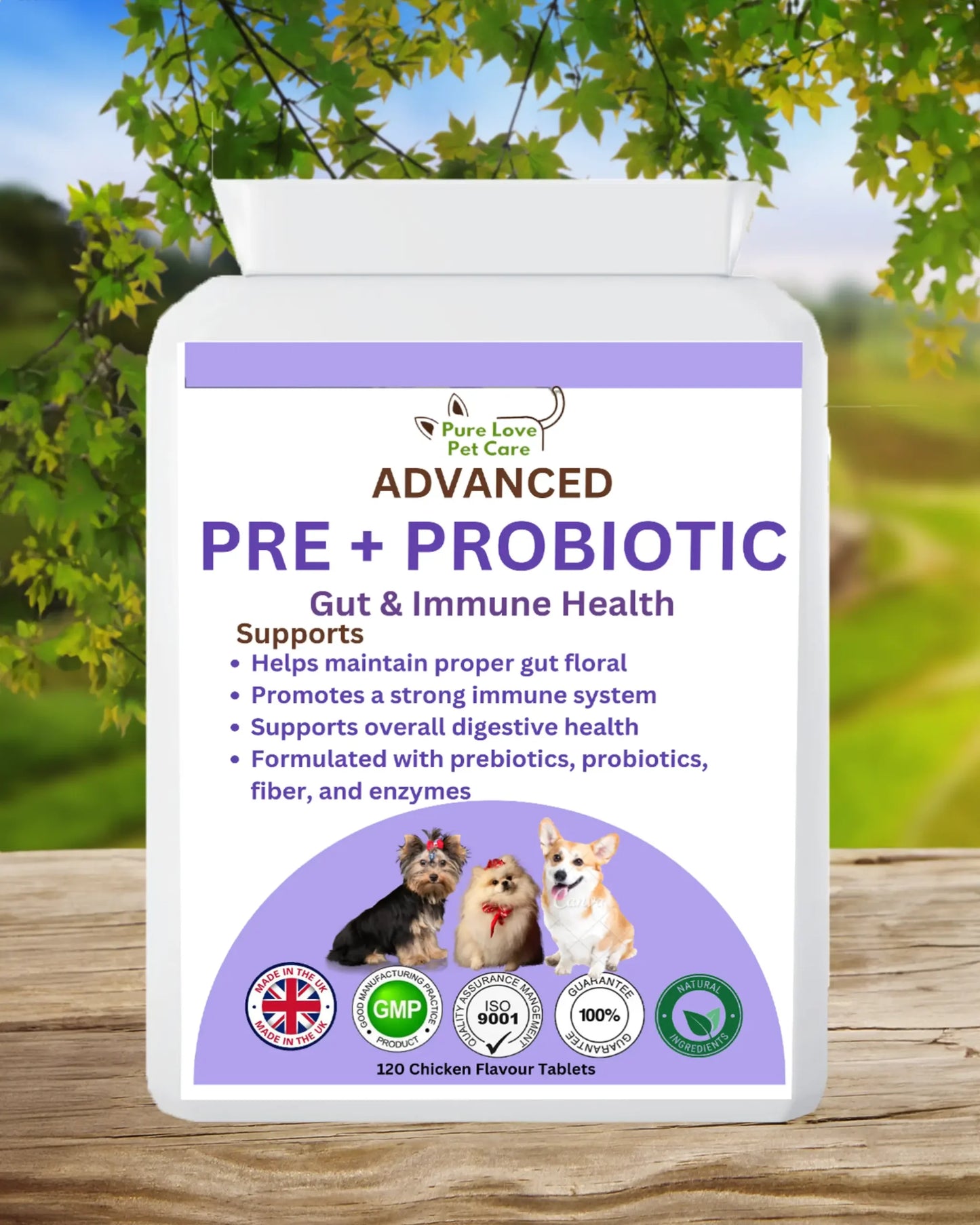 Advanced Pre + Probiotic image 0