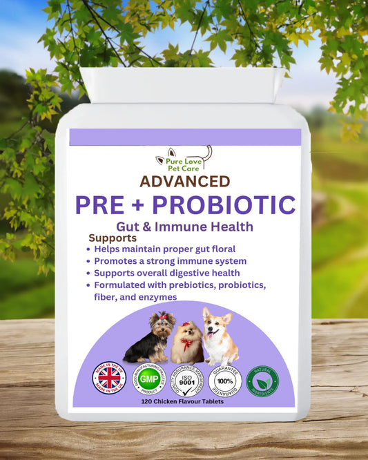 Advanced Pre + Probiotic image 0