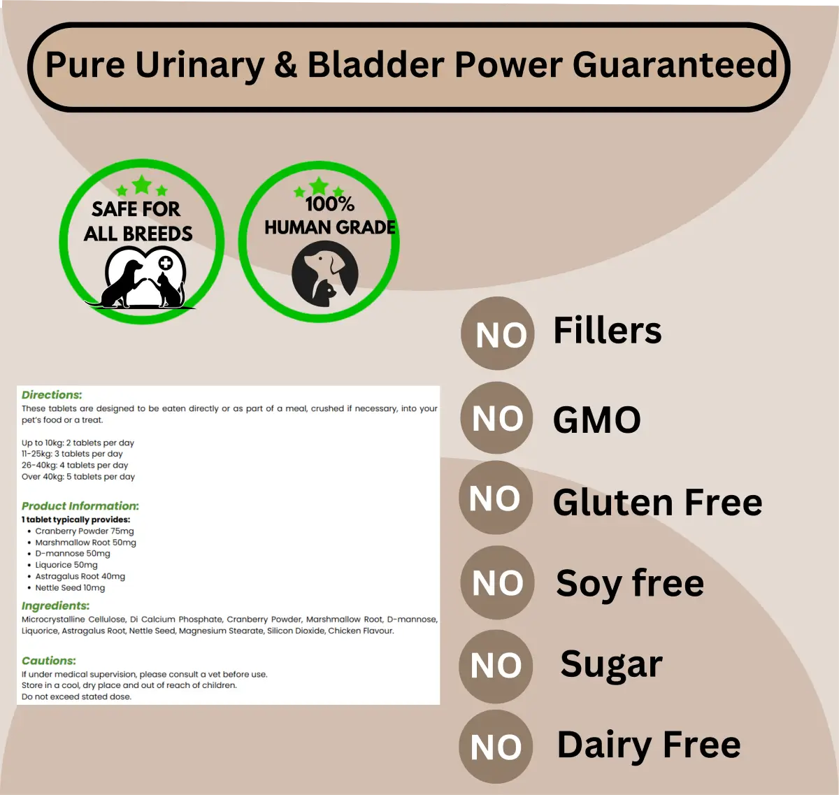 Advanced  Urinary & Bladder image 3
