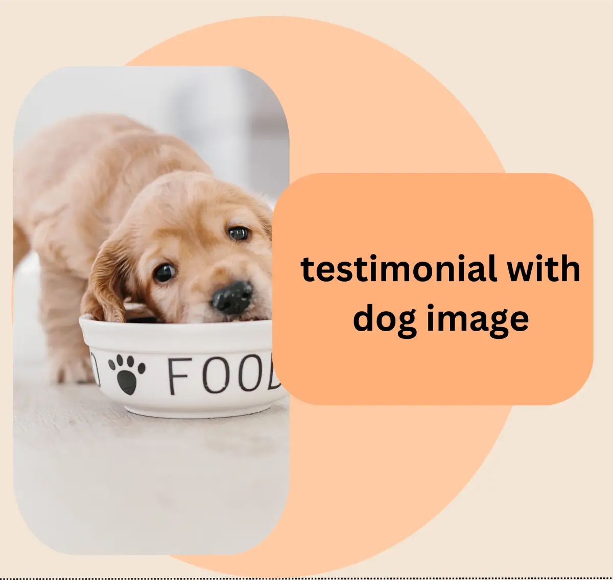 Advanced Multivitamin image 13