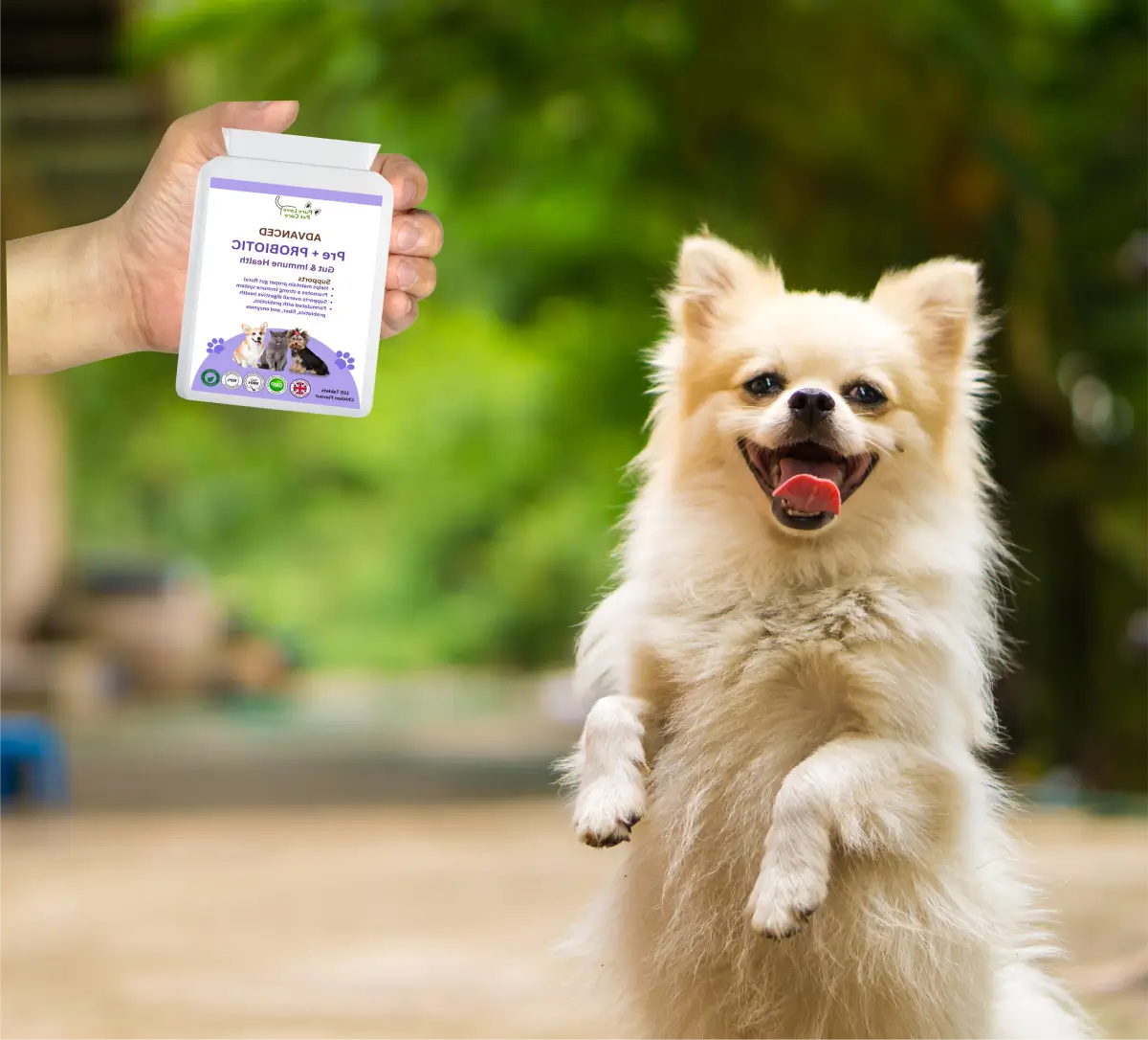 Advanced Pre + Probiotic image 5