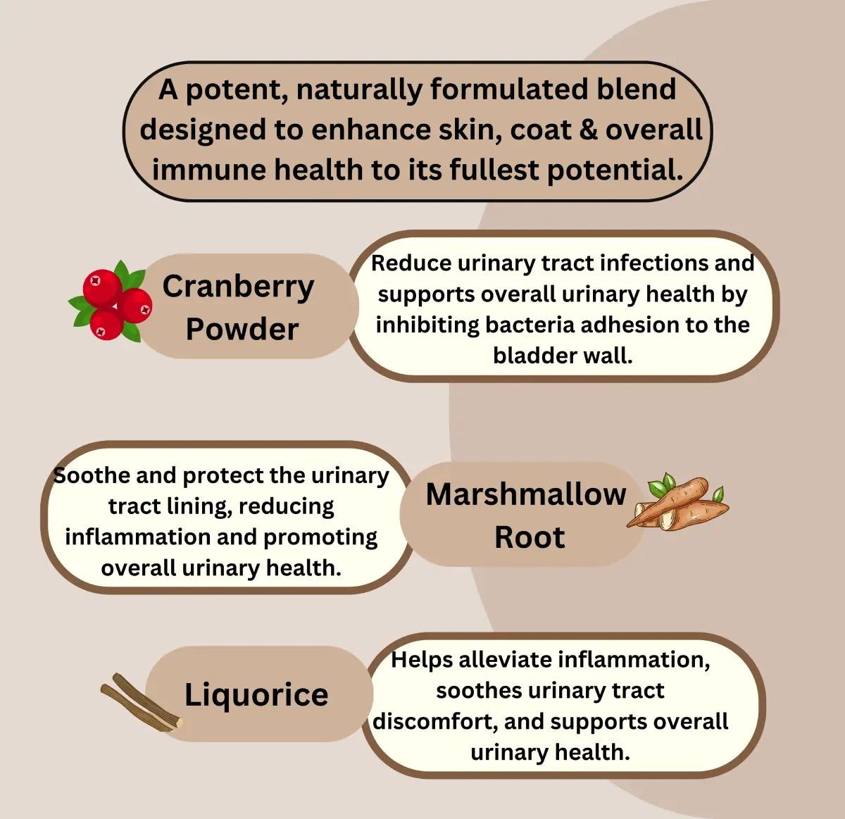 Advanced  Urinary & Bladder image 5