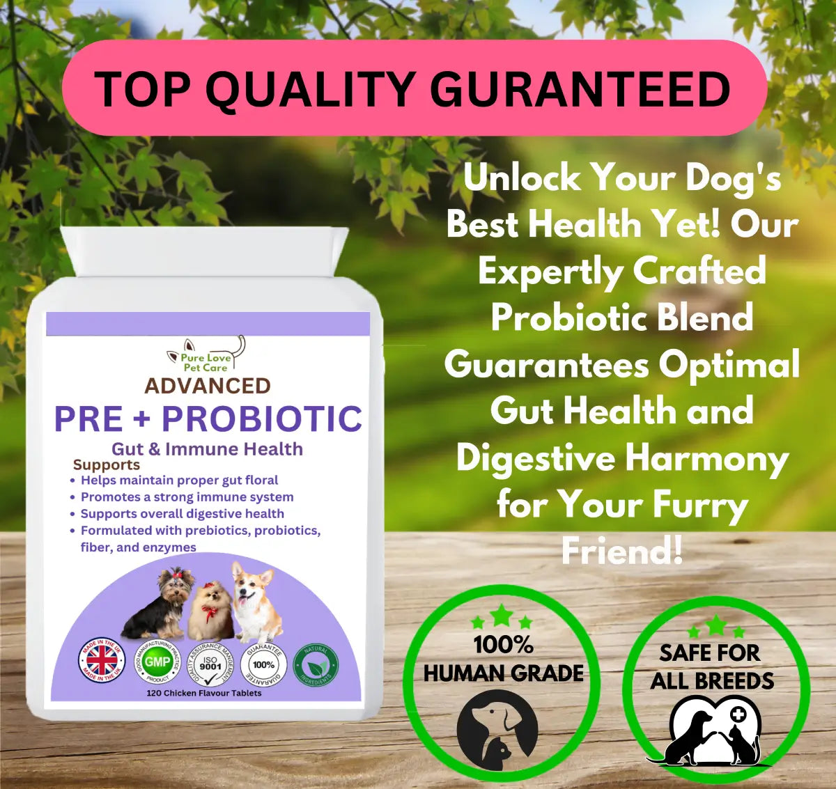 Advanced Pre + Probiotic image 7