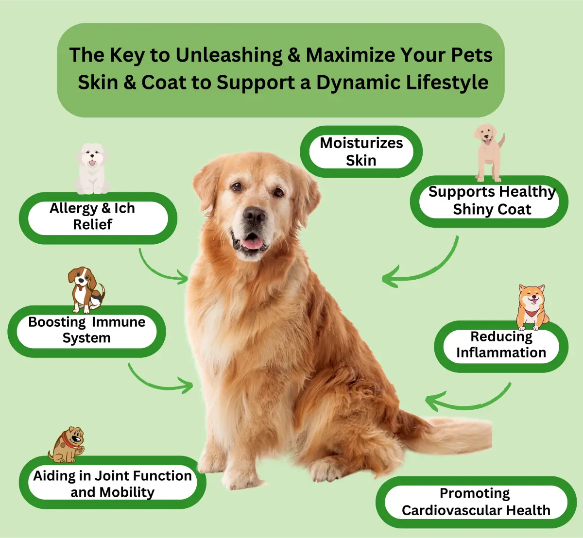 Advanced Skin & Coat With Omega Oils image 9